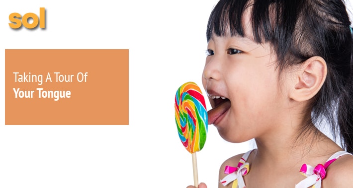 Taking A Tour Of Your Tongue | Sol Speech And Language Therapy In Austin Texas