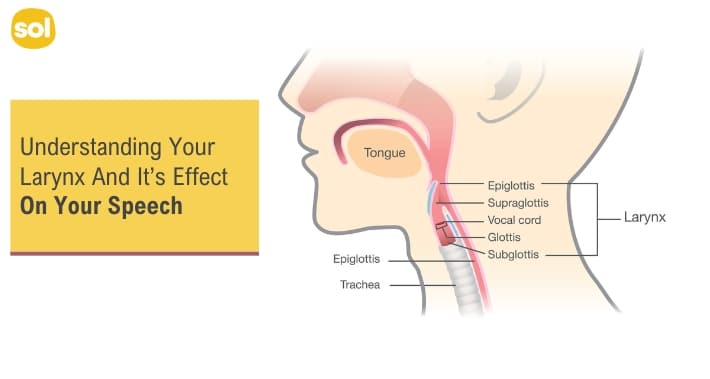 Understanding Your Larynx and It's Effect On Speech | Sol Speech And Language Therapy | Austin Texas and Round Rock Texas